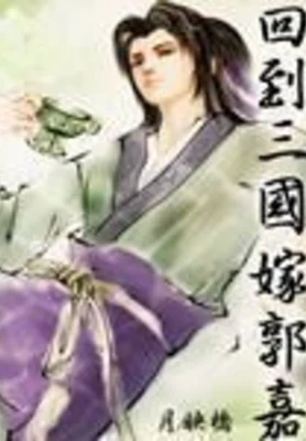 回到三国嫁郭嘉 封面