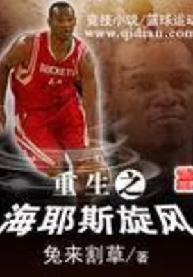 重生之海耶斯旋风 封面