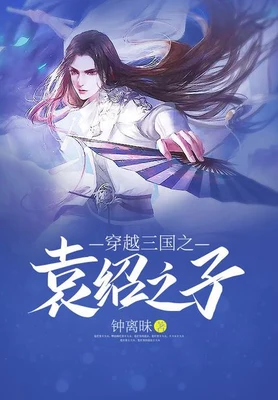 穿越三国之袁绍之子 封面