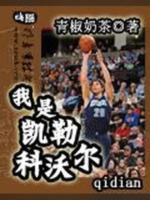 我是凯勒科沃尔 封面