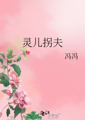 灵儿拐夫 封面
