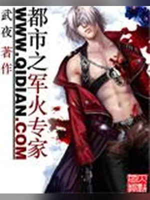 都市之军火专家 封面