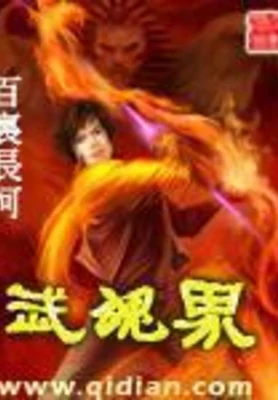 武魂界 封面