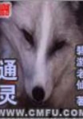 通灵 封面