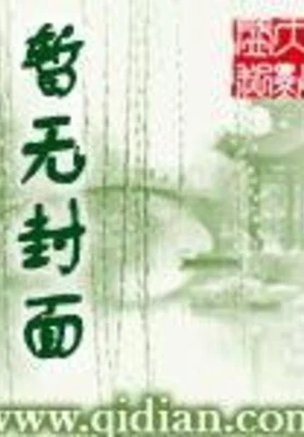 全能神偷(校对版全本) 封面