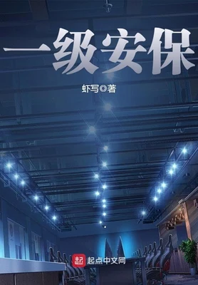 一级安保(校对版全本) 封面
