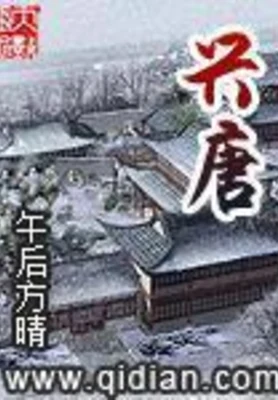 兴唐(校对版全本) 封面