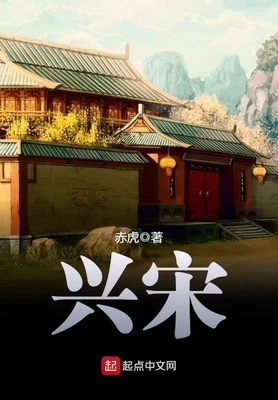 兴宋（校对版全本） 封面