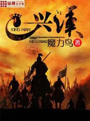 兴汉（校对版全本） 封面